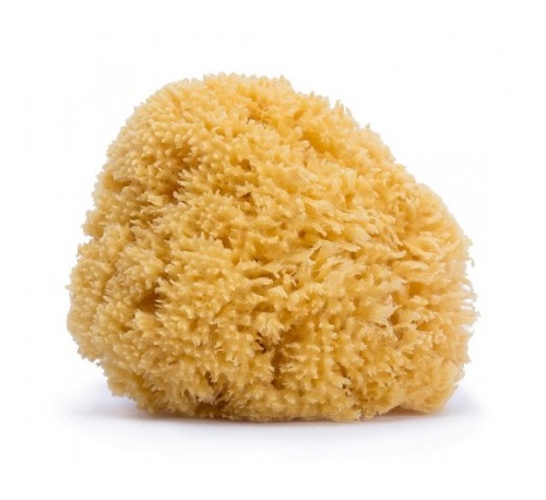 Suavinex esponja natural infantil