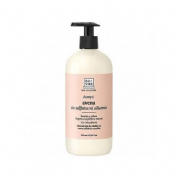 Soivre champu sin sulfatos (1 envase 500 ml)